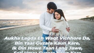 punjabi shayari love