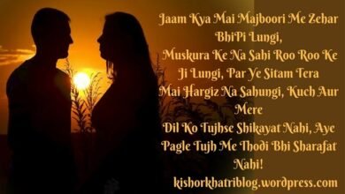 true love broken heart shayari